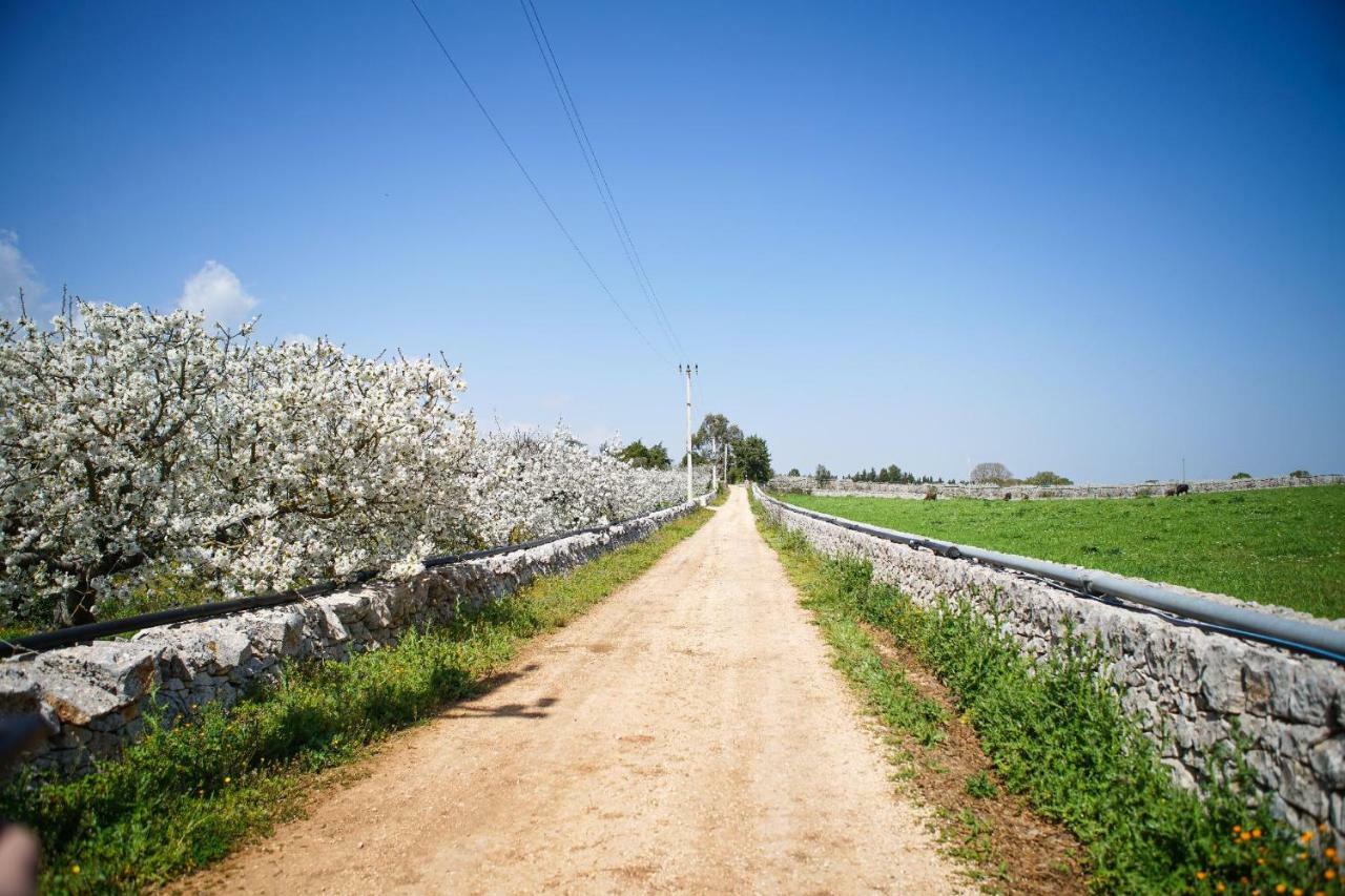 Masseria Guadiano Vecchio Santa Lucia  外观 照片