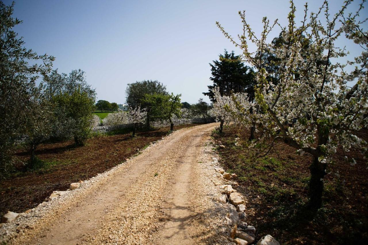 Masseria Guadiano Vecchio Santa Lucia  外观 照片