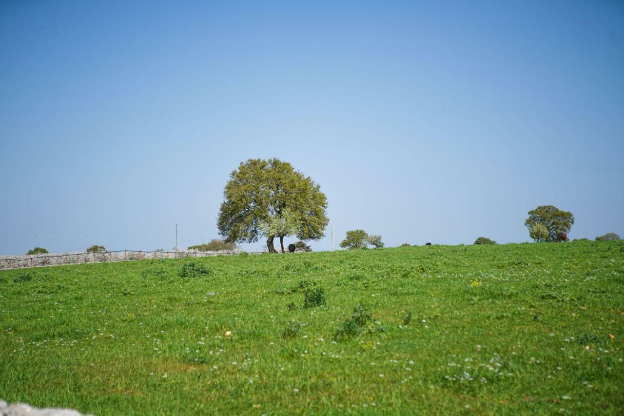Masseria Guadiano Vecchio Santa Lucia  外观 照片